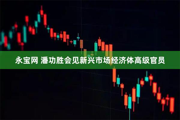 永宝网 潘功胜会见新兴市场经济体高级官员