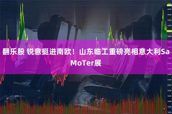 翻乐股 锐意挺进南欧！山东临工重磅亮相意大利SaMoTer展